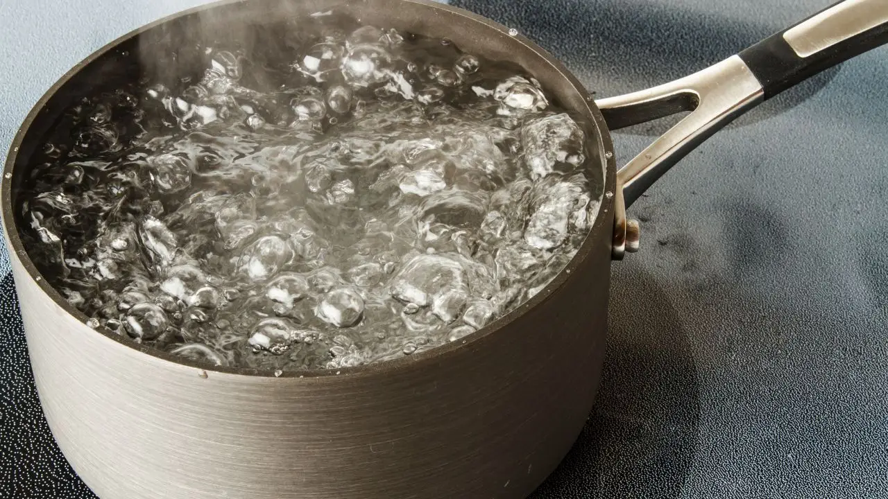 Scopri perché l’acqua di cottura della pasta può aiutare le tue piante in vaso Scopri perché l’acqua di cottura della pasta può aiutare le tue piante in vaso