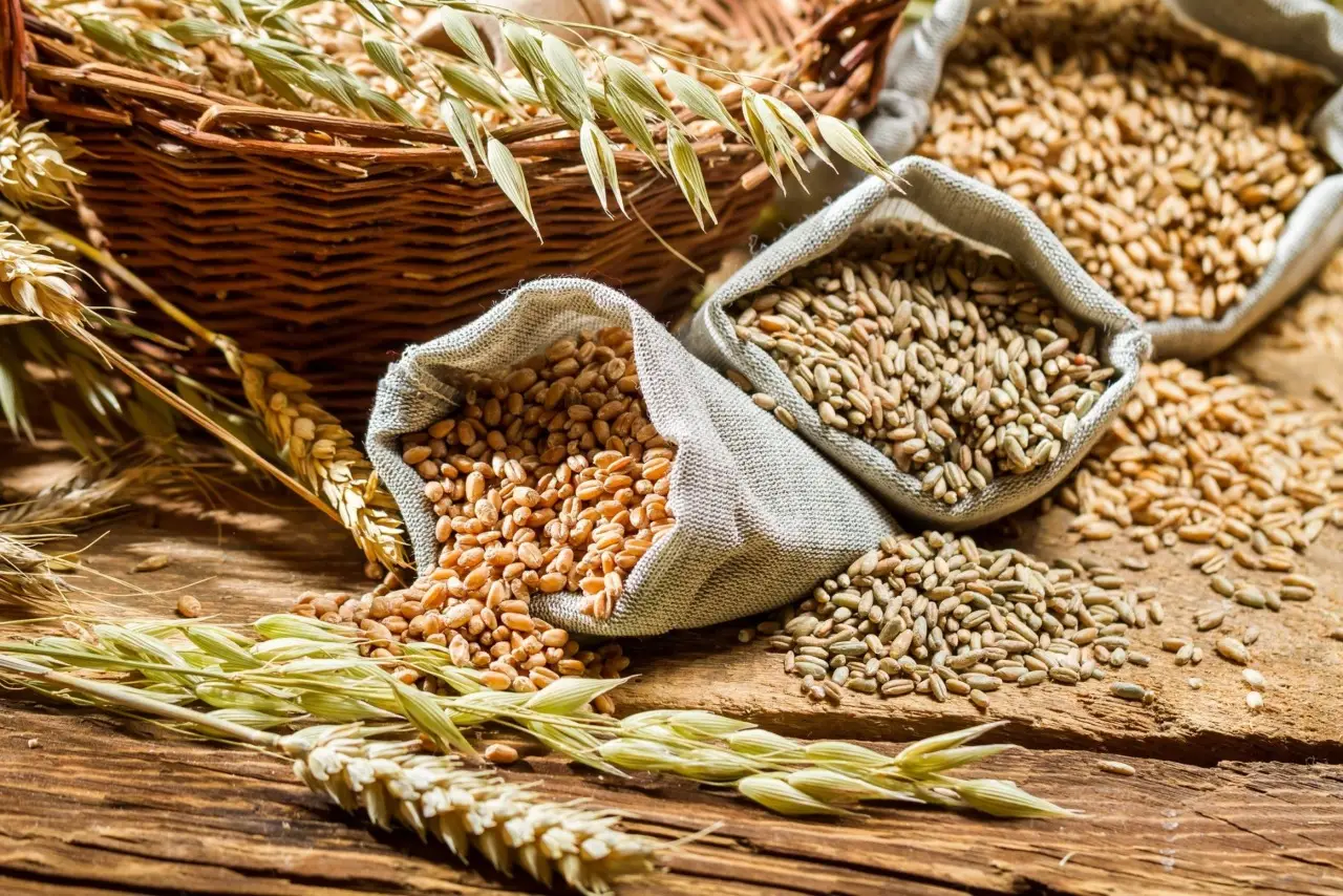 Scopri i cereali integrali che aiutano a mantenere stabili i livelli di zucchero nel sangue Scopri i cereali integrali che aiutano a mantenere stabili i livelli di zucchero nel sangue