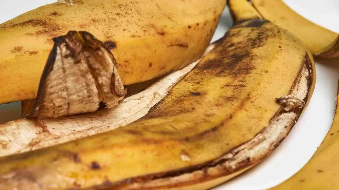 Come usare la buccia di banana per far crescere più forti le tue piante di casa Come usare la buccia di banana per far crescere più forti le tue piante di casa