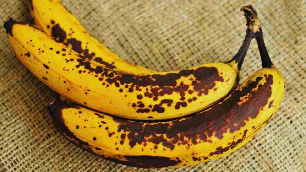 Come usare la buccia di banana per far crescere più forti le tue piante di casa Come usare la buccia di banana per far crescere più forti le tue piante di casa