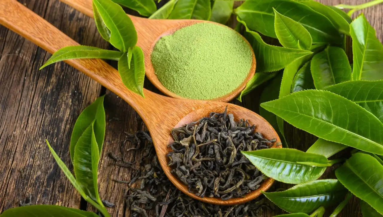 Come utilizzare le foglie di tè usate per concimare le piante aromatiche sul balcone Come utilizzare le foglie di tè usate per concimare le piante aromatiche sul balcone