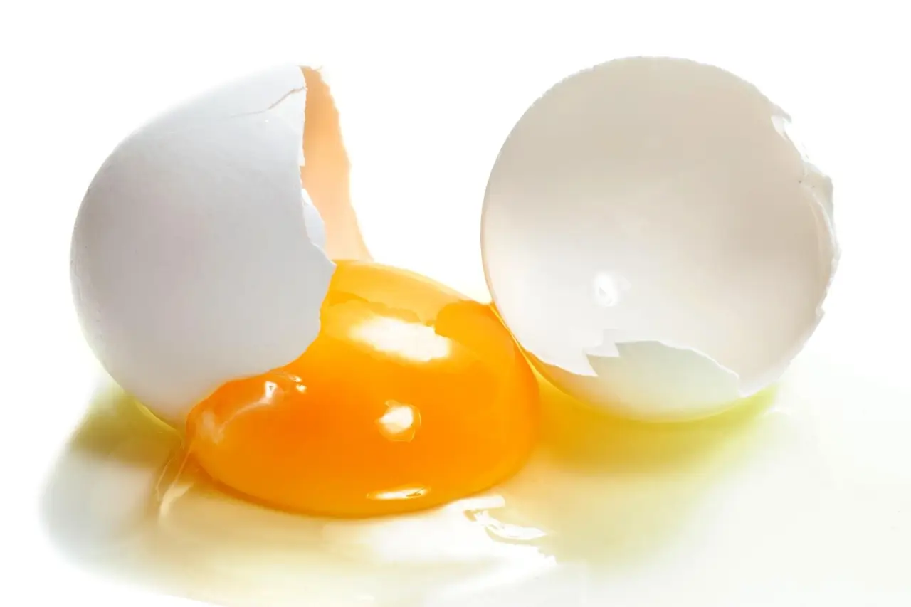 Guida pratica su come riciclare i gusci d’uovo per nutrire le tue piante in vaso Guida pratica su come riciclare i gusci d’uovo per nutrire le tue piante in vaso