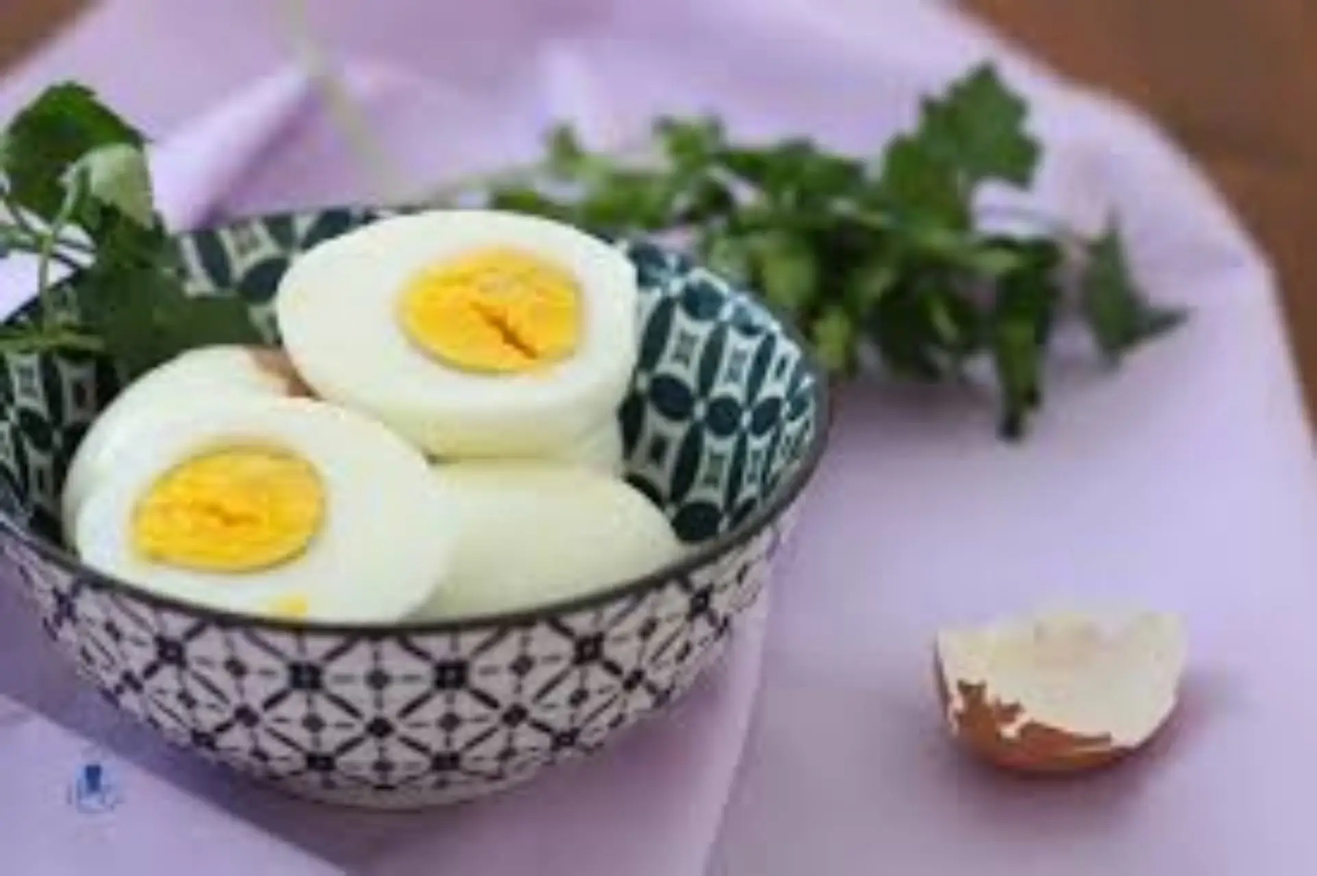 Guida pratica su come riciclare i gusci d’uovo per nutrire le tue piante in vaso Guida pratica su come riciclare i gusci d’uovo per nutrire le tue piante in vaso