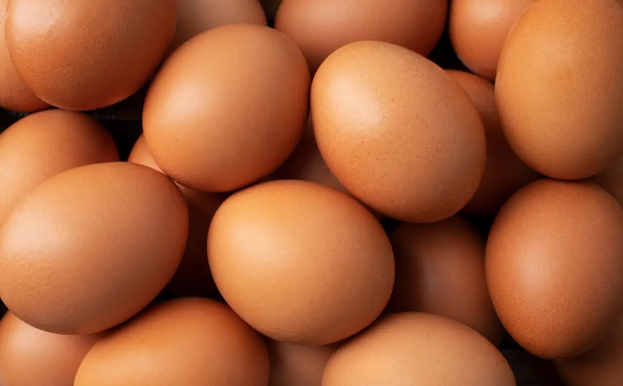 Guida pratica su come riciclare i gusci d’uovo per nutrire le tue piante in vaso Guida pratica su come riciclare i gusci d’uovo per nutrire le tue piante in vaso