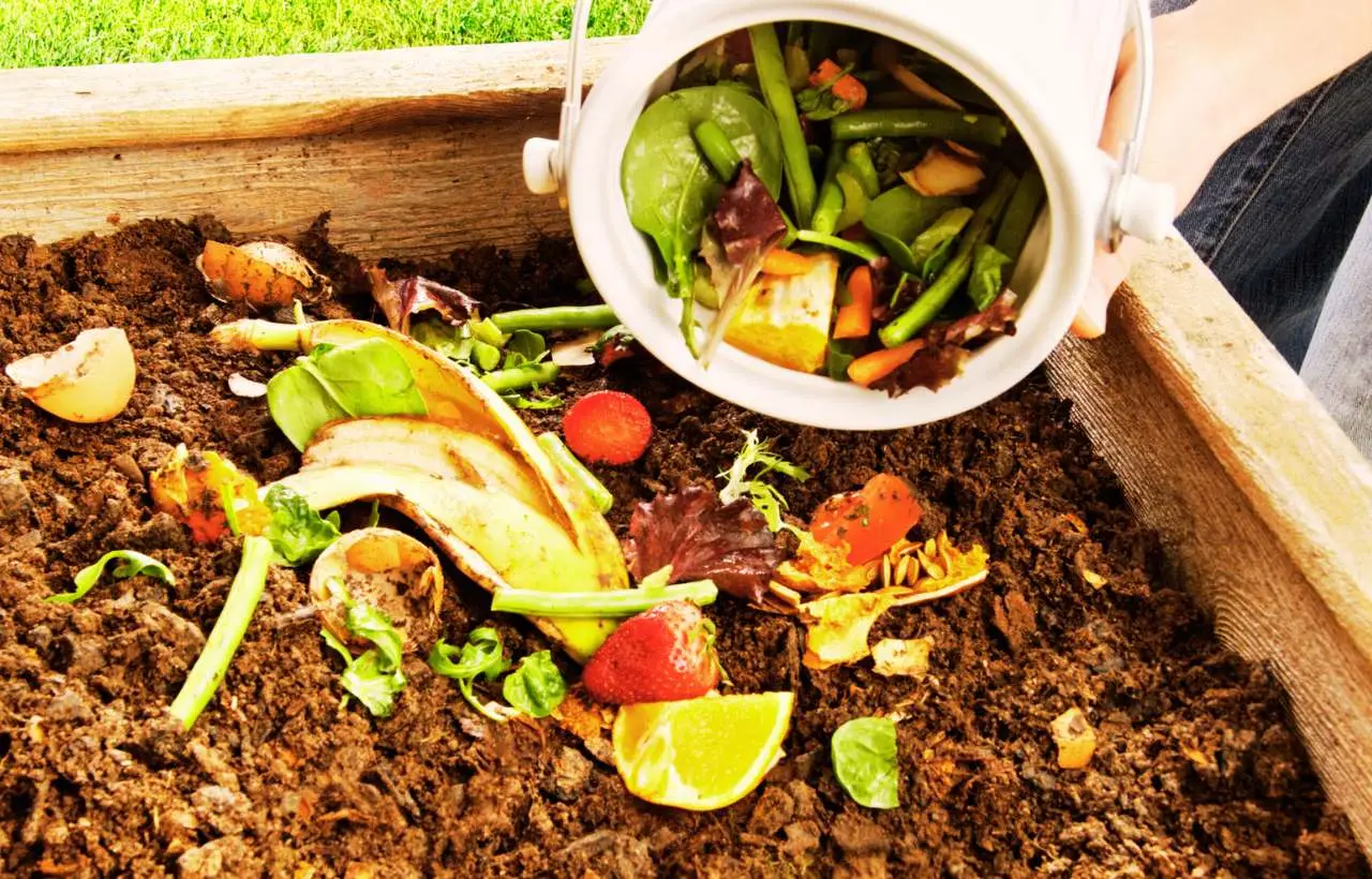 Come realizzare un fertilizzante naturale potente con scarti vegetali domestici Come realizzare un fertilizzante naturale potente con scarti vegetali domestici