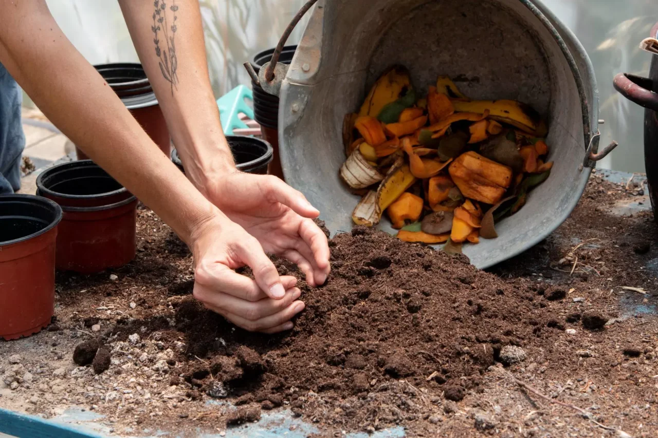 Come realizzare un fertilizzante naturale potente con scarti vegetali domestici Come realizzare un fertilizzante naturale potente con scarti vegetali domestici