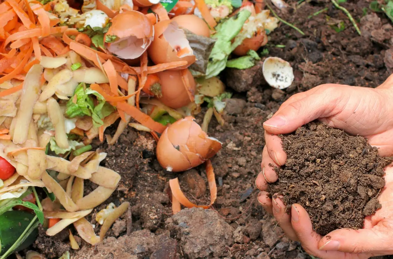 Come realizzare un fertilizzante naturale potente con scarti vegetali domestici Come realizzare un fertilizzante naturale potente con scarti vegetali domestici