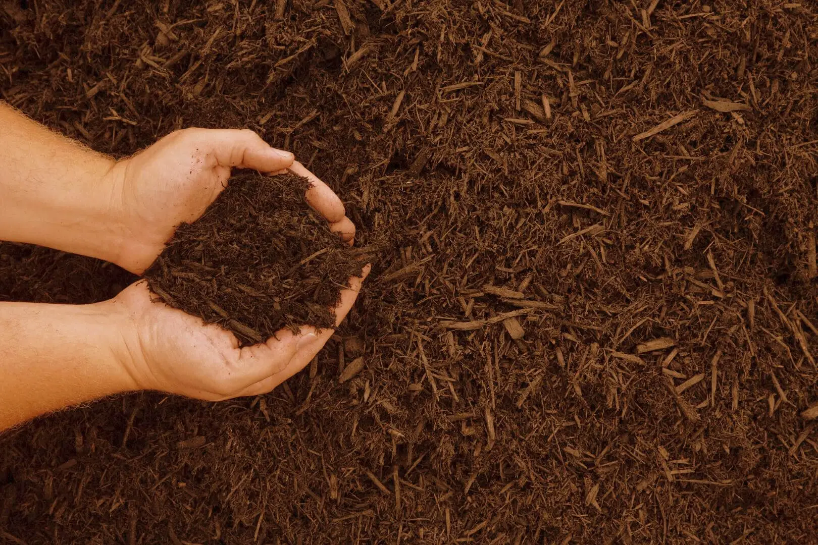 Come realizzare un fertilizzante naturale potente con scarti vegetali domestici Come realizzare un fertilizzante naturale potente con scarti vegetali domestici