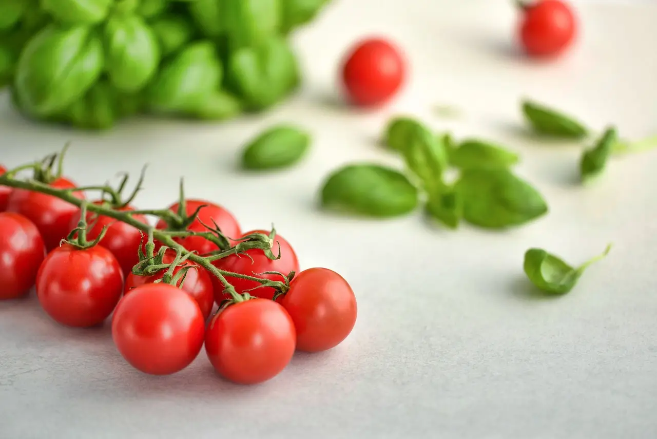 Come migliorare la crescita dei pomodori sfruttando i resti del caffè a casa tua Come migliorare la crescita dei pomodori sfruttando i resti del caffè a casa tua
