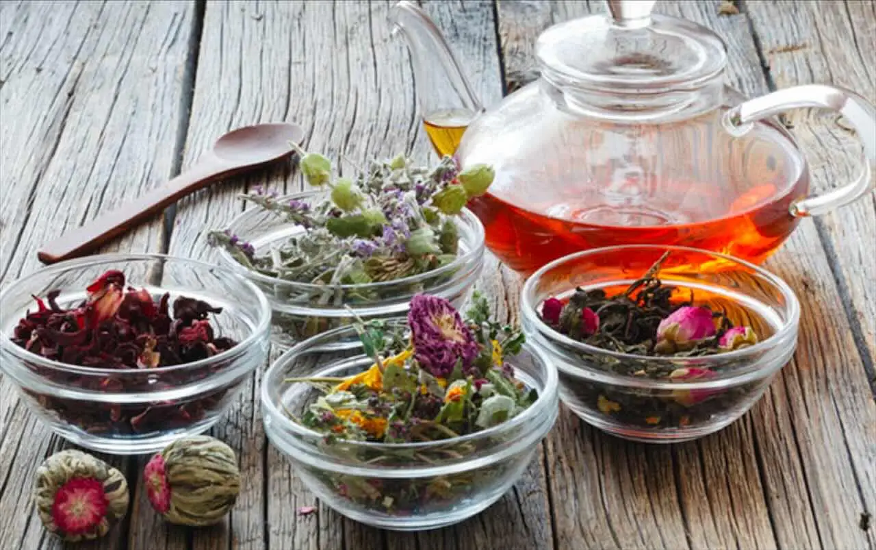 Tisane naturali indicate per chi vuole gestire la glicemia in modo semplice e gustoso