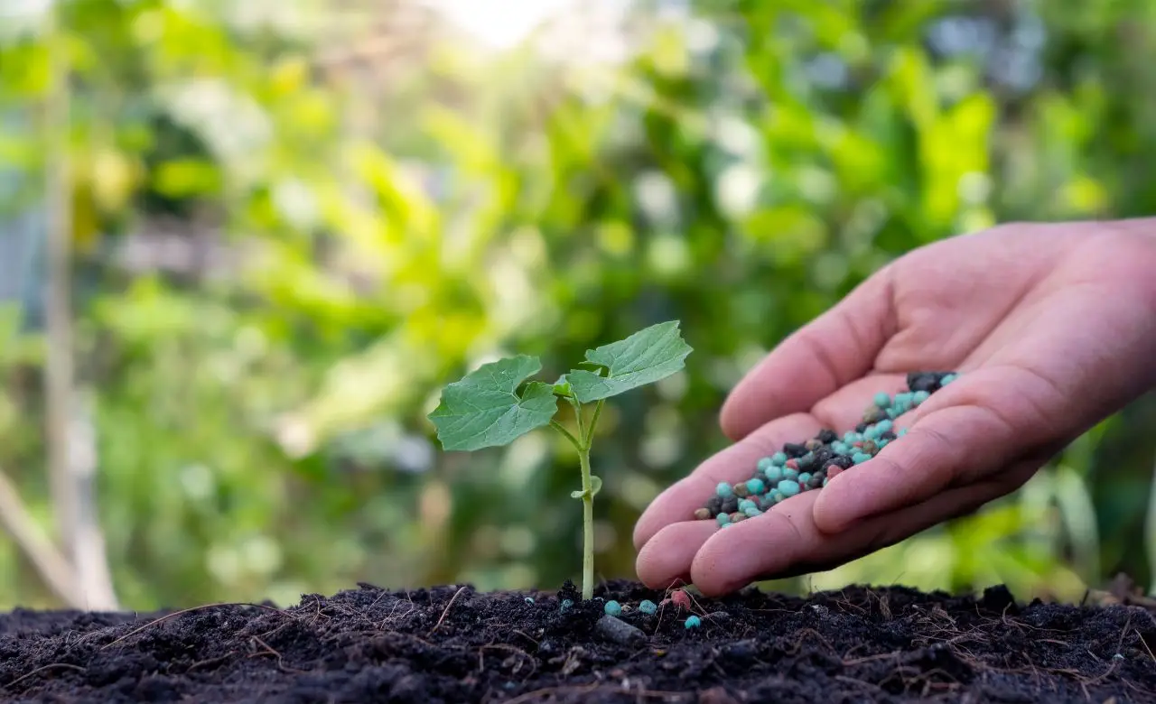 Fertilizzanti naturali facili con scarti di cucina: guida rapida alle migliori soluzioni