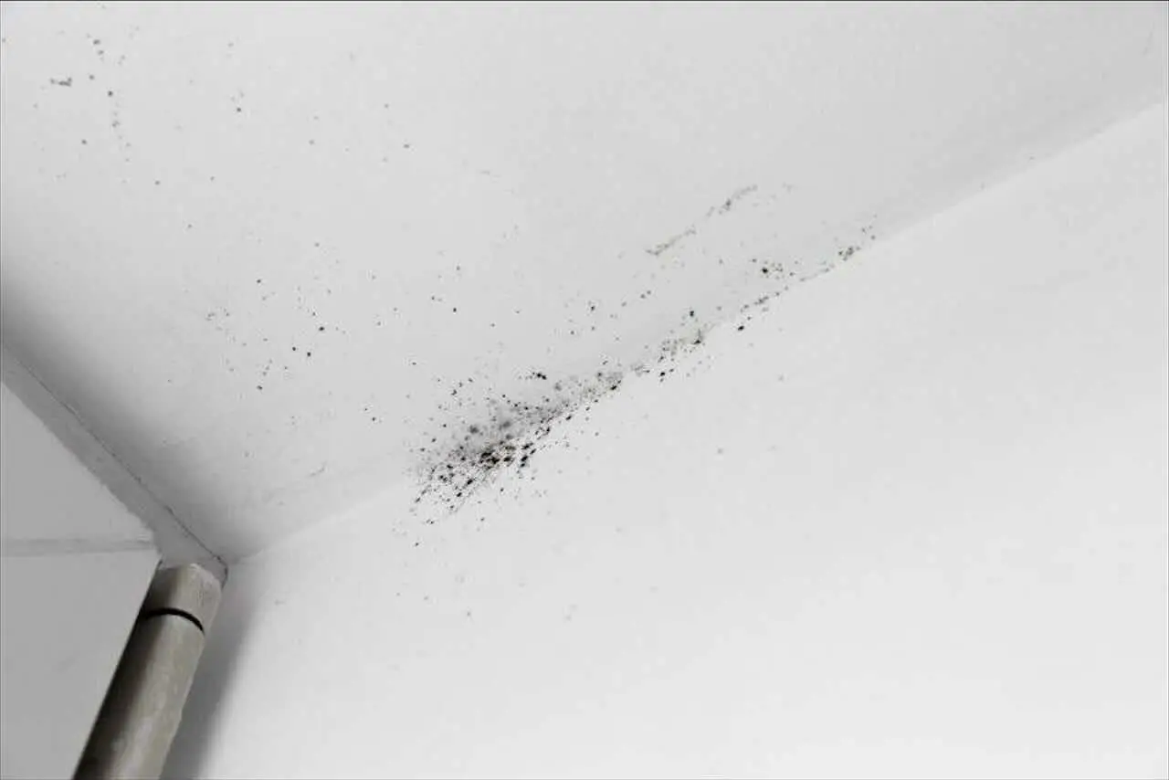 Scopri come eliminare l’umidità in bagno usando solo sale grosso e carta assorbente