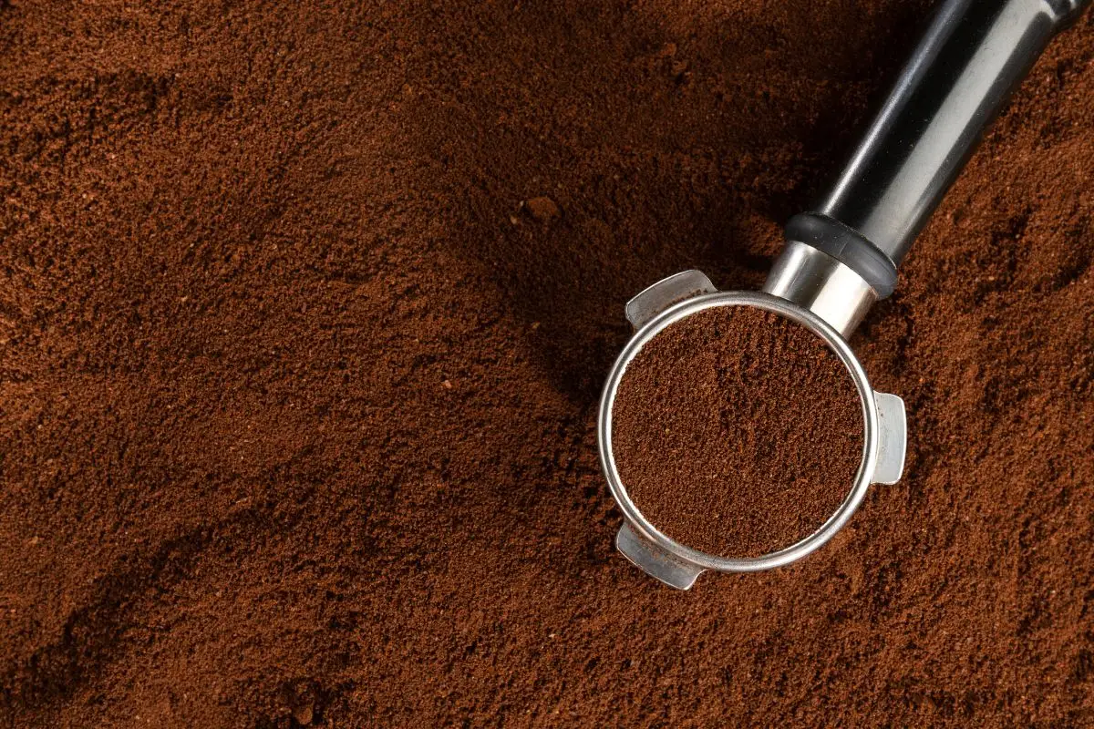 Scopri il trucco con i fondi di caffè per piante più forti senza spese aggiuntive