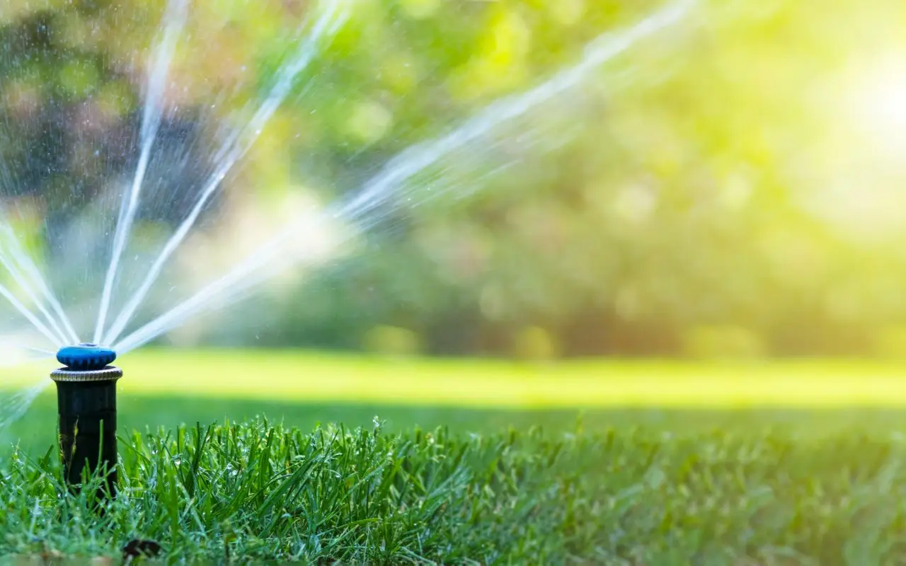 Acqua troppo dura per le piante? Ecco come ridurre il calcare e proteggere il tuo giardino