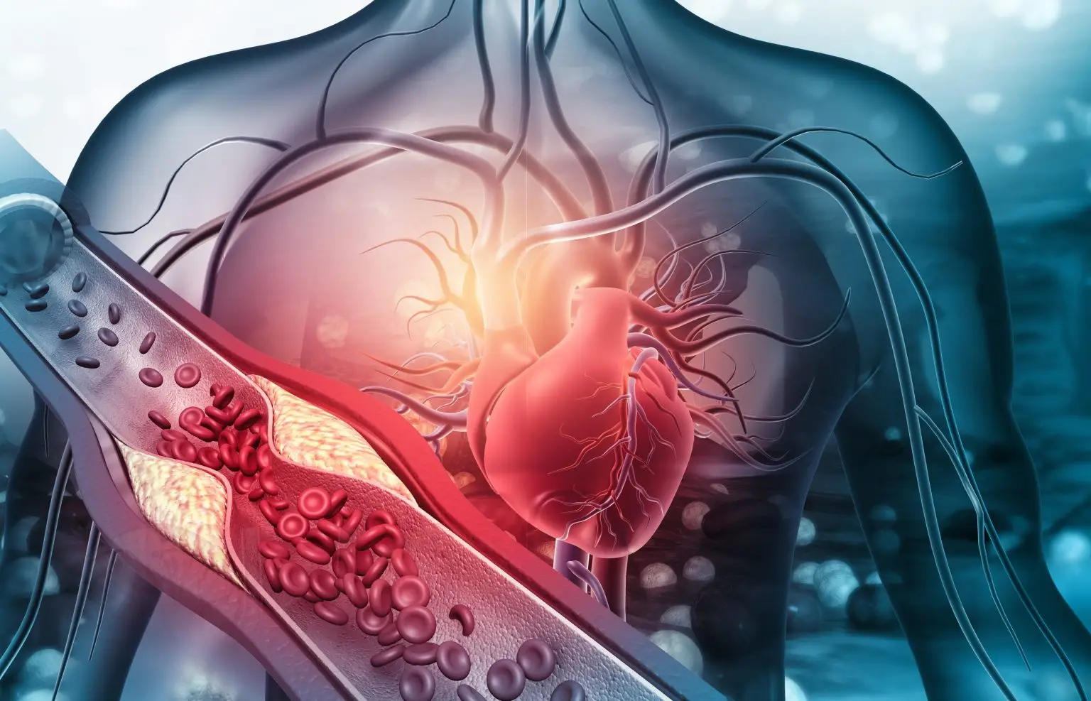 Cosa significa essere a rischio cardiovascolare e perché è importante conoscere i fattori che influenzano la salute del cuore?