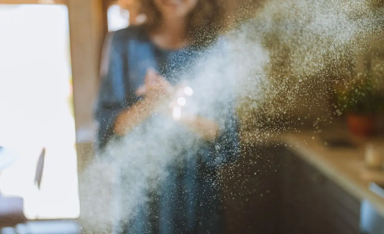 Acari bianchi in casa: cosa sono, dove si nascondono e come liberarsene definitivamente