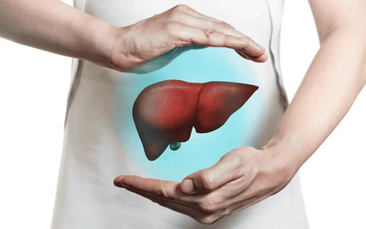 Il frutto estivo che aiuta a depurare il fegato e sgonfiare l’addome