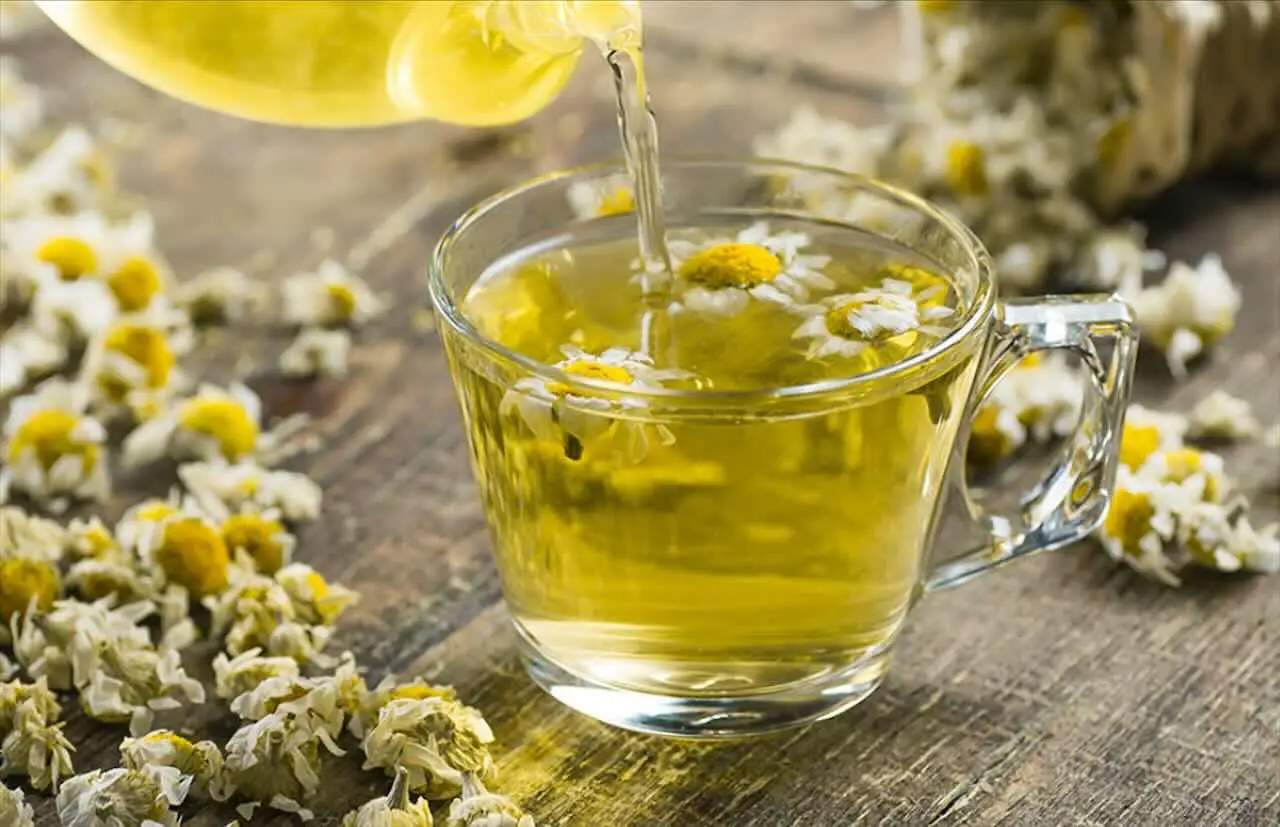 Ecco cosa bere la mattina appena alzati per dimagrire: il consiglio dei nutrizionisti