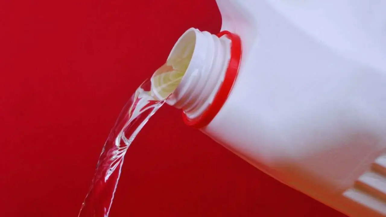 Sfida dell’estate: igienizzare i capi senza usare la candeggina Sfida dell’estate: igienizzare i capi senza usare la candeggina