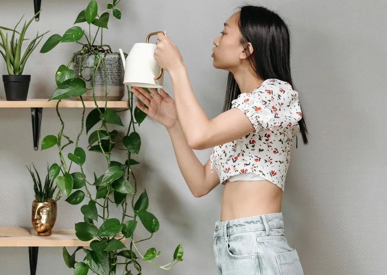 Hai mai provato a irrigare le piante con il tè verde? Scopri i benefici nascosti Hai mai provato a irrigare le piante con il tè verde? Scopri i benefici nascosti
