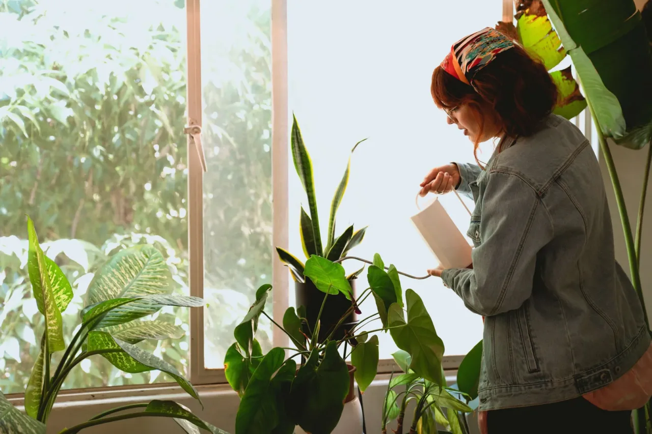 Hai mai provato a irrigare le piante con il tè verde? Scopri i benefici nascosti Hai mai provato a irrigare le piante con il tè verde? Scopri i benefici nascosti