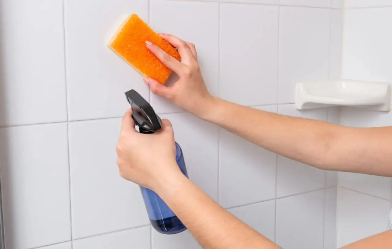 Metti in pratica questi semplici passi per prevenire la muffa nelle fughe delle piastrelle Metti in pratica questi semplici passi per prevenire la muffa nelle fughe delle piastrelle