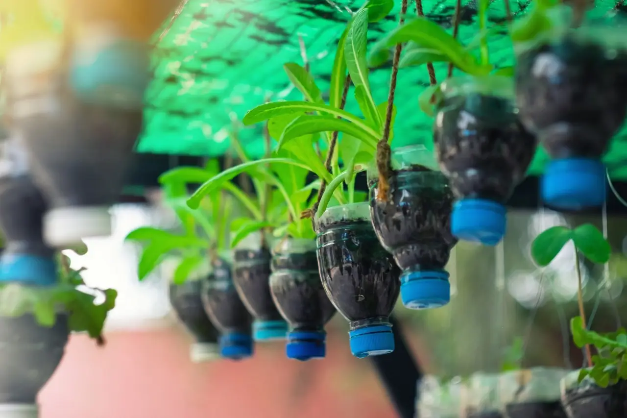 Come risparmiare acqua irrigando con bottiglie riciclate: metodo facile e sostenibile Come risparmiare acqua irrigando con bottiglie riciclate: metodo facile e sostenibile