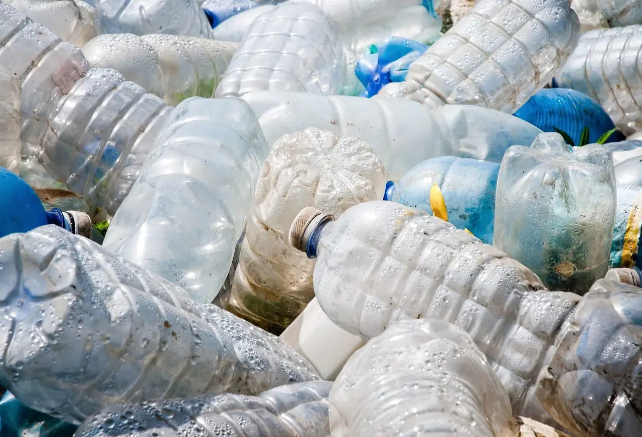 Come risparmiare acqua irrigando con bottiglie riciclate: metodo facile e sostenibile Come risparmiare acqua irrigando con bottiglie riciclate: metodo facile e sostenibile