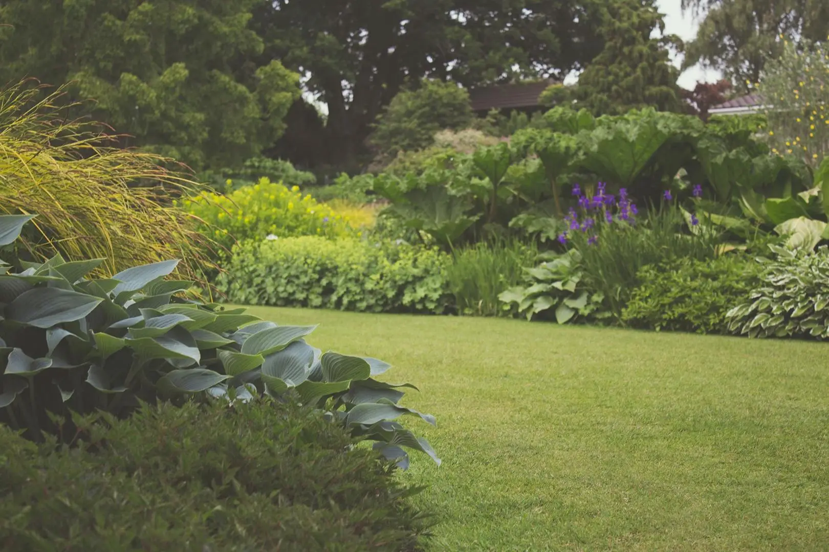 Scopri il segreto per un giardino verde e rigoglioso con un solo ingrediente naturale Scopri il segreto per un giardino verde e rigoglioso con un solo ingrediente naturale