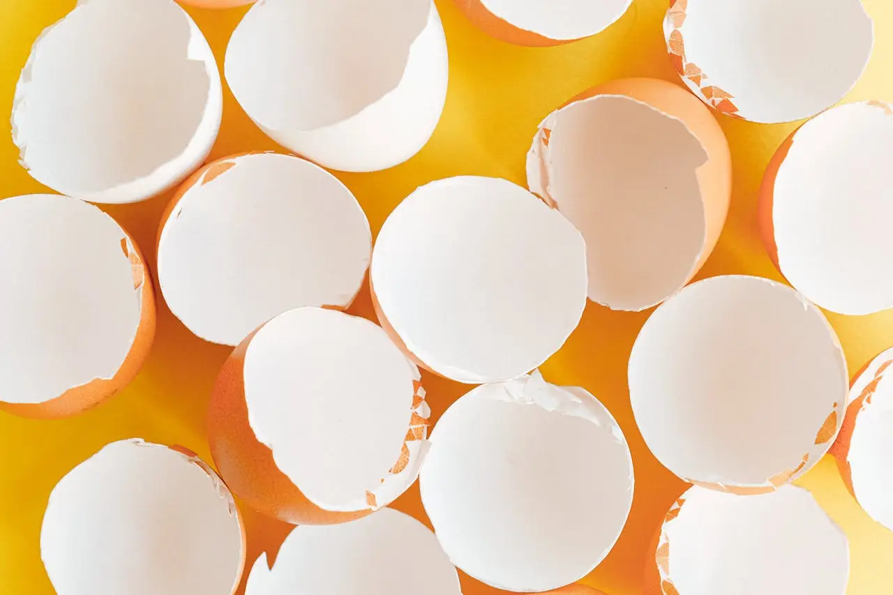 Dai una seconda vita alle conchiglie delle uova e regala vigore alle tue piante aromatiche Dai una seconda vita alle conchiglie delle uova e regala vigore alle tue piante aromatiche