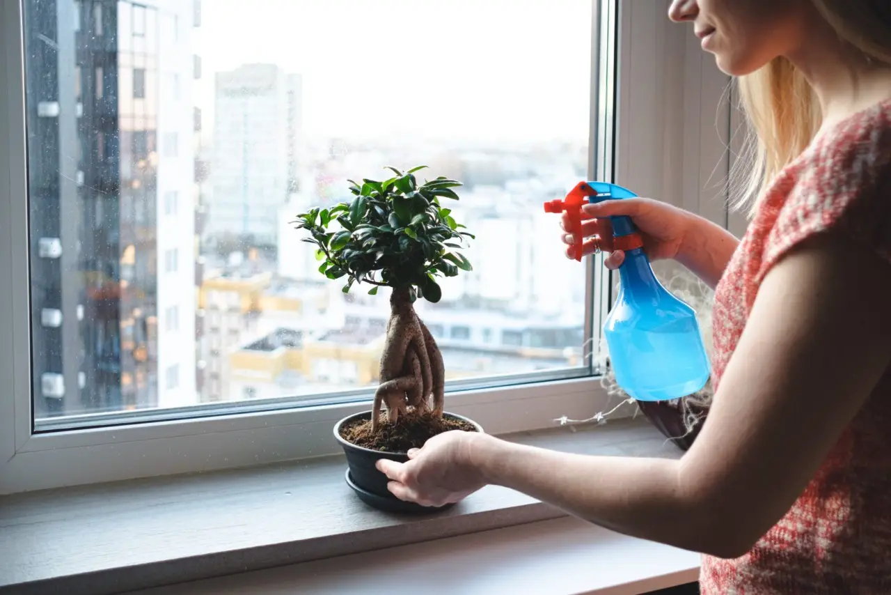 Prova ad aggiungere l’acqua di cottura del riso alle tue piante: i risultati sorprendono Prova ad aggiungere l’acqua di cottura del riso alle tue piante: i risultati sorprendono