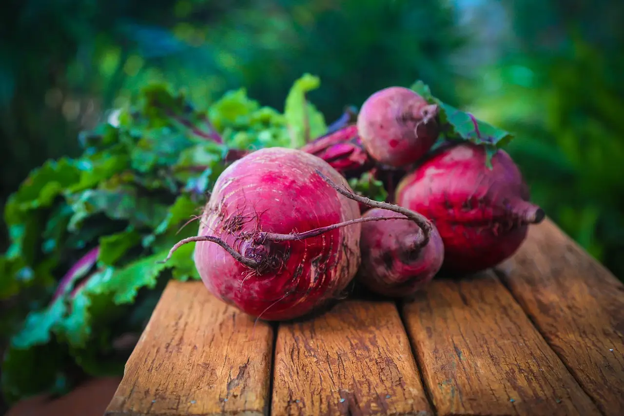 Integra la barbabietola nella tua dieta quotidiana e favorisci la salute cardiovascolare Integra la barbabietola nella tua dieta quotidiana e favorisci la salute cardiovascolare
