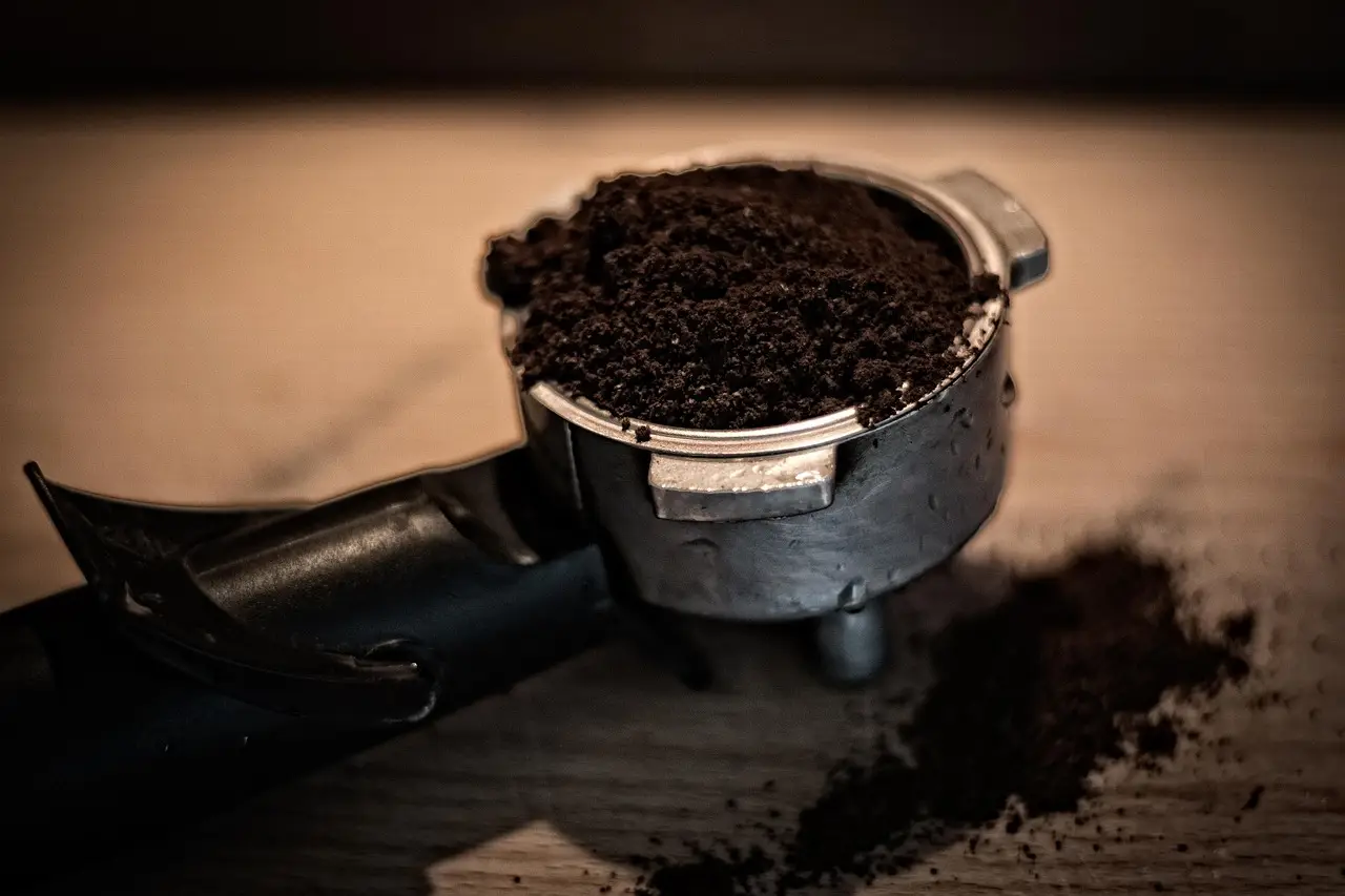 Scopri il trucco con i fondi di caffè per piante più forti senza spese aggiuntive Scopri il trucco con i fondi di caffè per piante più forti senza spese aggiuntive