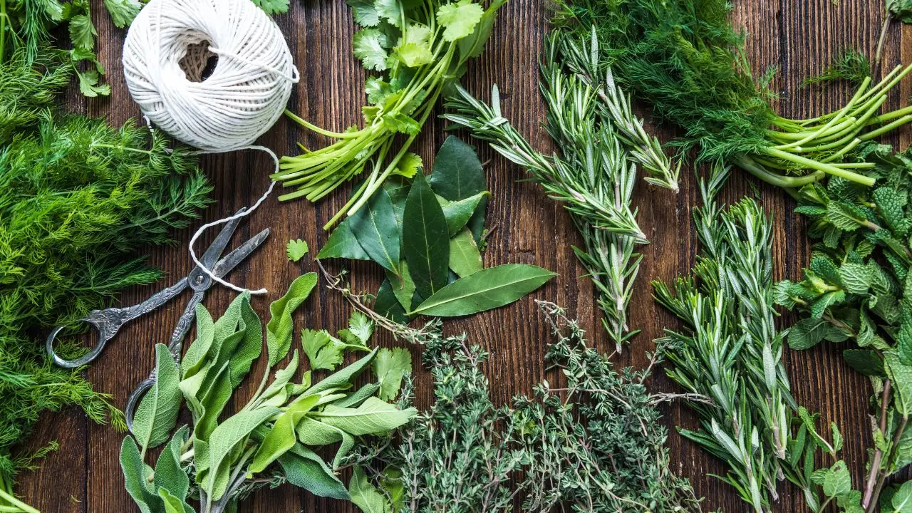 Integra le erbe aromatiche fresche per controllare la pressione anche a tavola Integra le erbe aromatiche fresche per controllare la pressione anche a tavola