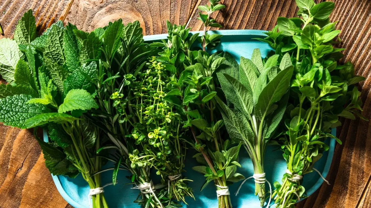 Integra le erbe aromatiche fresche per controllare la pressione anche a tavola Integra le erbe aromatiche fresche per controllare la pressione anche a tavola